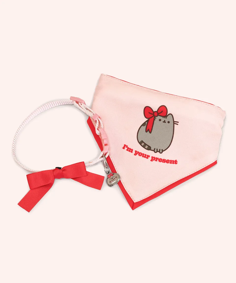 New Pet Present Collar & Bandana Set Kitchen & Pet